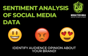 Sentiment Analysis of Social Media